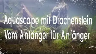 Aquascape Drachenstein f&uuml;r Koi Guppy (Dragonstone) w&uuml;rde das f&uuml;r Zoobox battle reichen? #aquarium