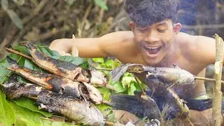 Primitive in Jungle - Find fish