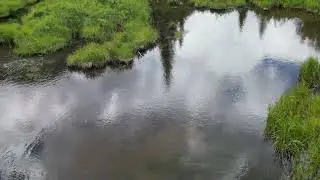 Chalk Creek Ponds 7 25 1
