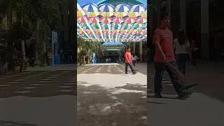 Colorful Umbrella Roof #umbrella  #roof #pnhs