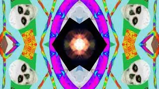 PROGRAMED FOR DISINFORMATION...MINROO ARTS 4XXFUNK