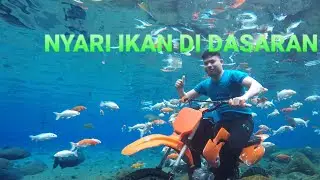 NYARI IKAN DI DASARAN