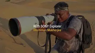 Wildlife at the Desert National Park | Dhritiman Mukherjee