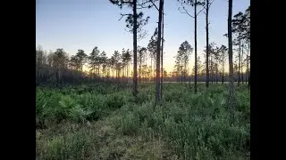 December 2019 Trip to Three Lakes WMA