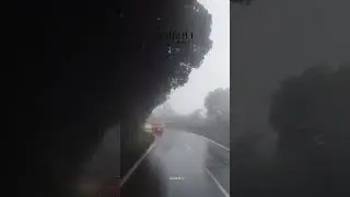 Amboli right now #nature #amboli #travel #shorts #viral