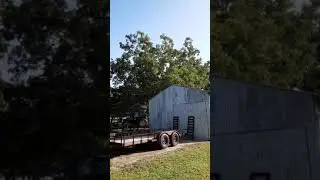 Pecan Harvest Festival, TX - Pecan Education partners presents: 