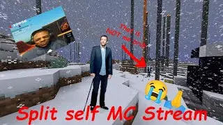 Split Self Minecraft Stream