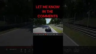 He said it was my fault  #assettocorsacompetizione #simracing #simracer #thrustmastert248