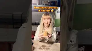 ОЖИДАНИЯ И РАЗОЧАРОВАНИЯ в Японии 😳 Totoro cafe #япония #токио #shorts #totoro