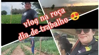 vlog na ro&ccedil;a , foi tenso viu por pouco eu n&atilde;o ...... cai no Corgo