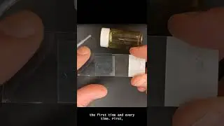 Wet Mount Demo