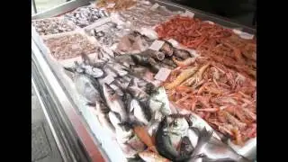 GRANDE SALENTO di Francesco VINCI