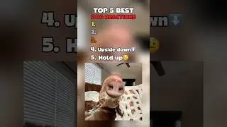 Top 5 BEST Dog Reactions🤣 #dog #animals #funny #reaction #dogs