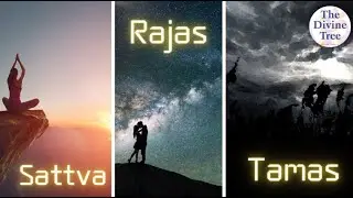 The 3 Gunas of Maya! | Sattva, Raja & Tamas!