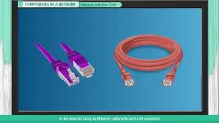 Components of a Network || Class-8