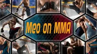 UFC Fight Night: Vegas 86 Hermansson vs Pyfer Recap