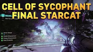 Cell of Sycophant Starcat Collectible Location (14th Starcat) - Destiny 2: Season of the Wish