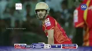 Akkineni Akhil's Winning Shot in CCL Final Excites Nagarjuna, Daggubati Venkatesh and Rana. Cricket