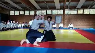 Aïkido Birankaï - Passage de grade 3ème dan - Mains nues
