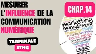 Terminale STMG - MERCATIQUE - Chapitre 14 - Mesurer l&rsquo;influence de la communication num&eacute;rique