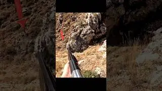 Охота на дикого кролика | Россия, момент между выстрелами#rabbit#hunting#challenge#chasse#hunting