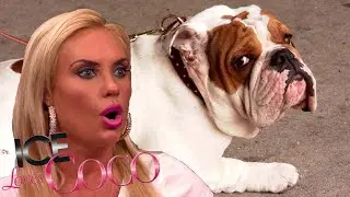Full Episode: Spartacus and Maximus get Fixed?! | Ice Loves CoCo S3 E05 | E! Rewind