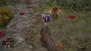 ELDEN RING Blood Whip Build