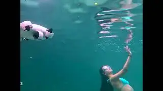 Underwater Drones Take the Dive at Urban Drones