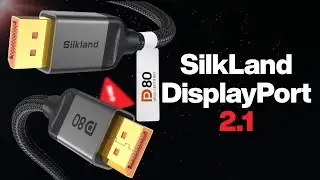 Silkland 80Gbps DisplayPort 2.1 S1334 Cable Review: 16K Future-Proof or Overkill?