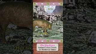 Pig Crimes - Animal Court Trials in Medieval Times
