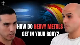Heavy Metals Poisoning: Entry Points and Detox Methods