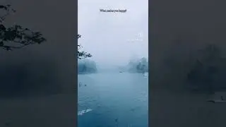 Nature's canvas: a foggy lake, a peaceful atmosphere #foggylake foggylake- #calmatmosphere- #lake