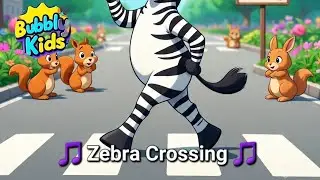 🎵 Zebra Crossing 🎵