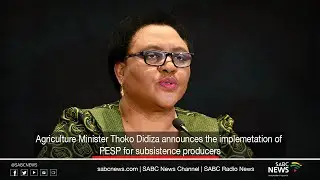 Agriculture Minister Thoko Didiza announces PESP implementation for subsistence producers