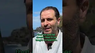 On the lack of competition in Aikido  #aikido