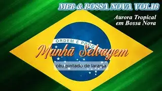 MPB& BOSSA NOVA VOL.16(Magia da Natureza ao Amanhecer)#BossaNova#AuroraTropical