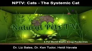Natural Pets TV: Cats - Episode 1 - The Systemic Cat - Systemic issues & implications of imbalance
