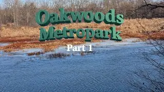 Oakwoods Metropark 🌿 Sky-Come-Down & Big Tree Trails | pt.1