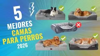 🐶🛏️ Las 5 Mejores CAMAS PARA PERROS de 2026 Calidad-Precio en Amazon ✅ NO COMPRES UNA SIN VER ESTO 🔥
