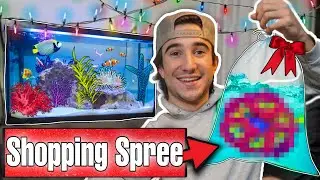 CHRISTMAS SHOPPING SPREE for AQUARIUM FISH!