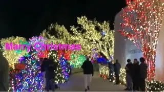 Washington DC Temple Festival of Lights 2025,USA(Lễ hội &aacute;nh s&aacute;ng 2025 tại Th&aacute;nh đường Washington DC)