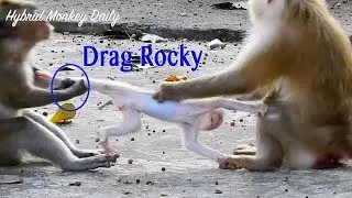 Horrible Baby Rocky Crying So Loudly So Hurt During Kidnapper Mekala Drag Leg So Hard From Mama Rozy
