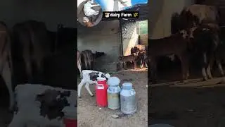 Dairy Farm 🌾 status || business status| whatsApp motivational status #shorts #business #life #status