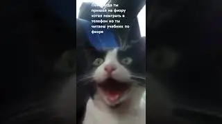 У кого жиза