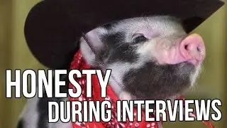 Honesty During Interviews - Ask Canada (Calgary)