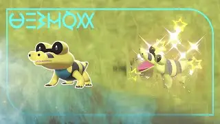 Sandile Shiny in the Terarium ! [FULL ODDS] - BlueBerry Academy - Pok&eacute;mon Violet