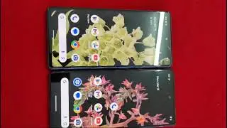 Buy Brand New Refurbished Google Pixel 6 5G