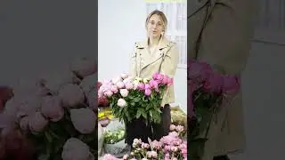 Поступление свежих пионов в магазины компании &laquo;Планета Флора&raquo;