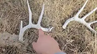 Sask Shed Hunting 2025