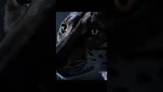 Ghost of the Wilderness: Part 6 #ai #cinematic #movie #documentary #nature #storytelling #thylacine